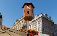 Autumn market, Wenceslas square