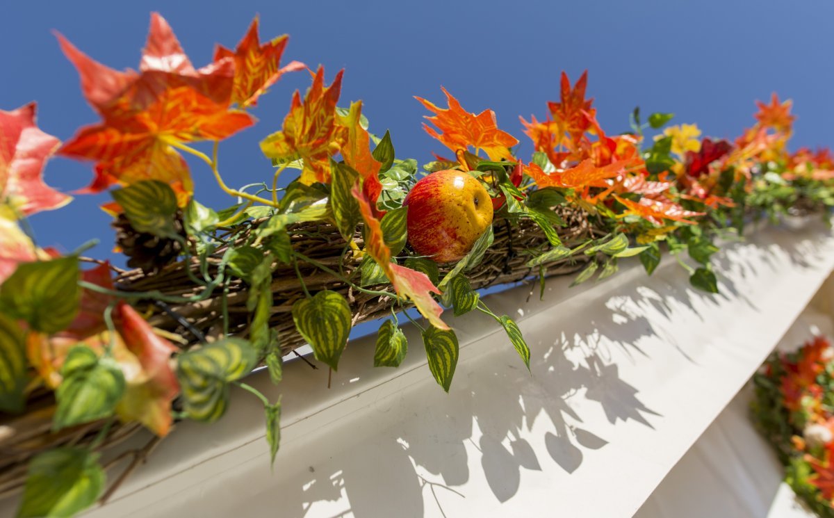 Autumn market, Wenceslas square