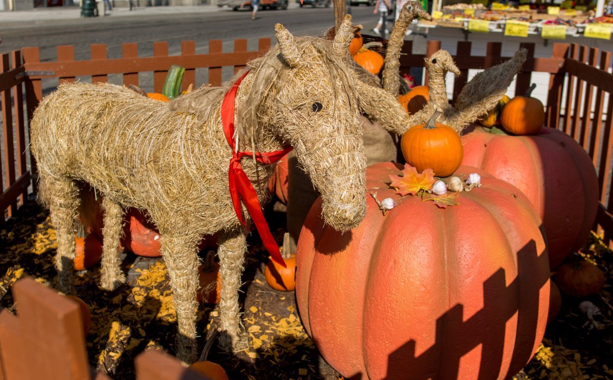 Autumn market, Náměstí Republiky