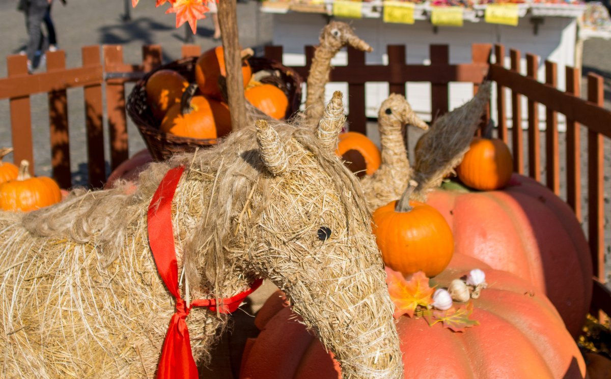 Autumn market, Náměstí Republiky