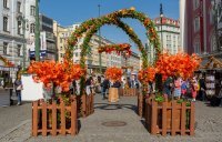 Autumn market, Náměstí Republiky