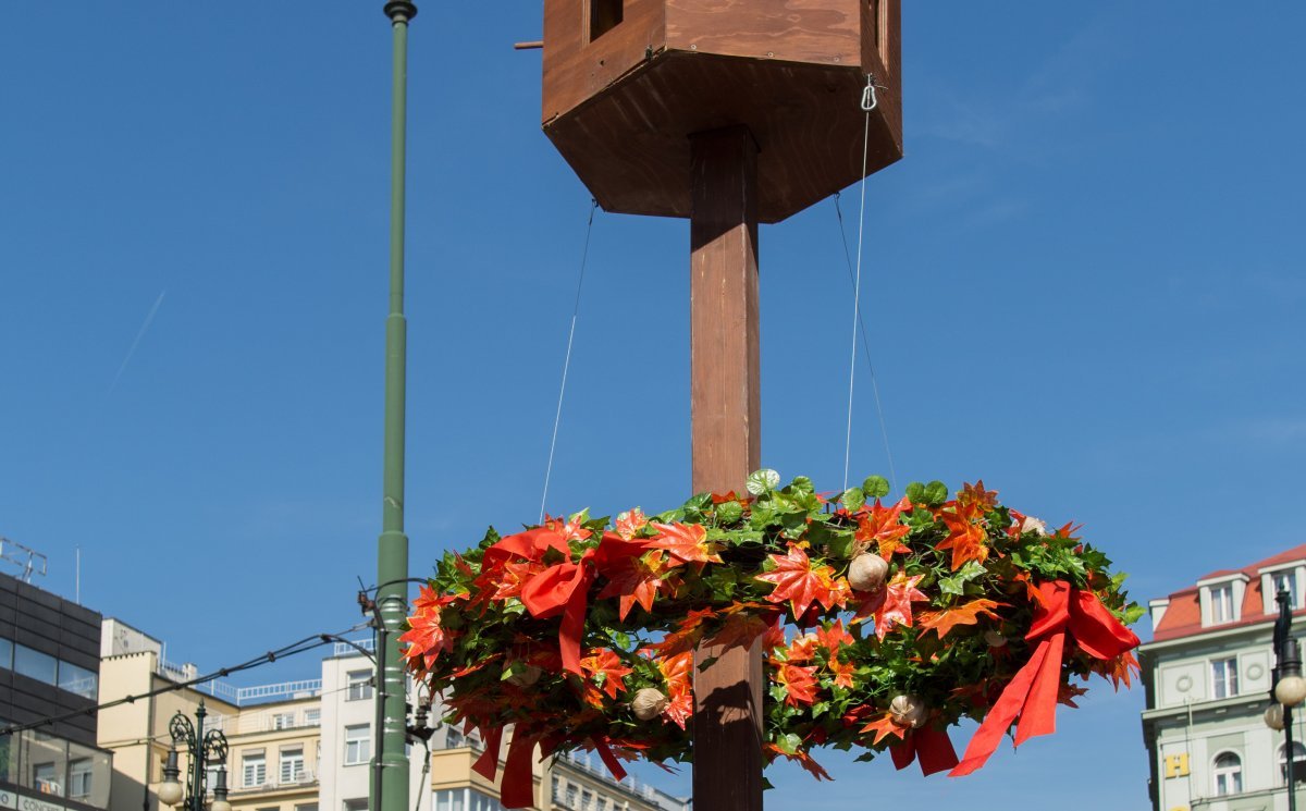 Autumn market, Náměstí Republiky