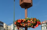 Autumn market, Náměstí Republiky