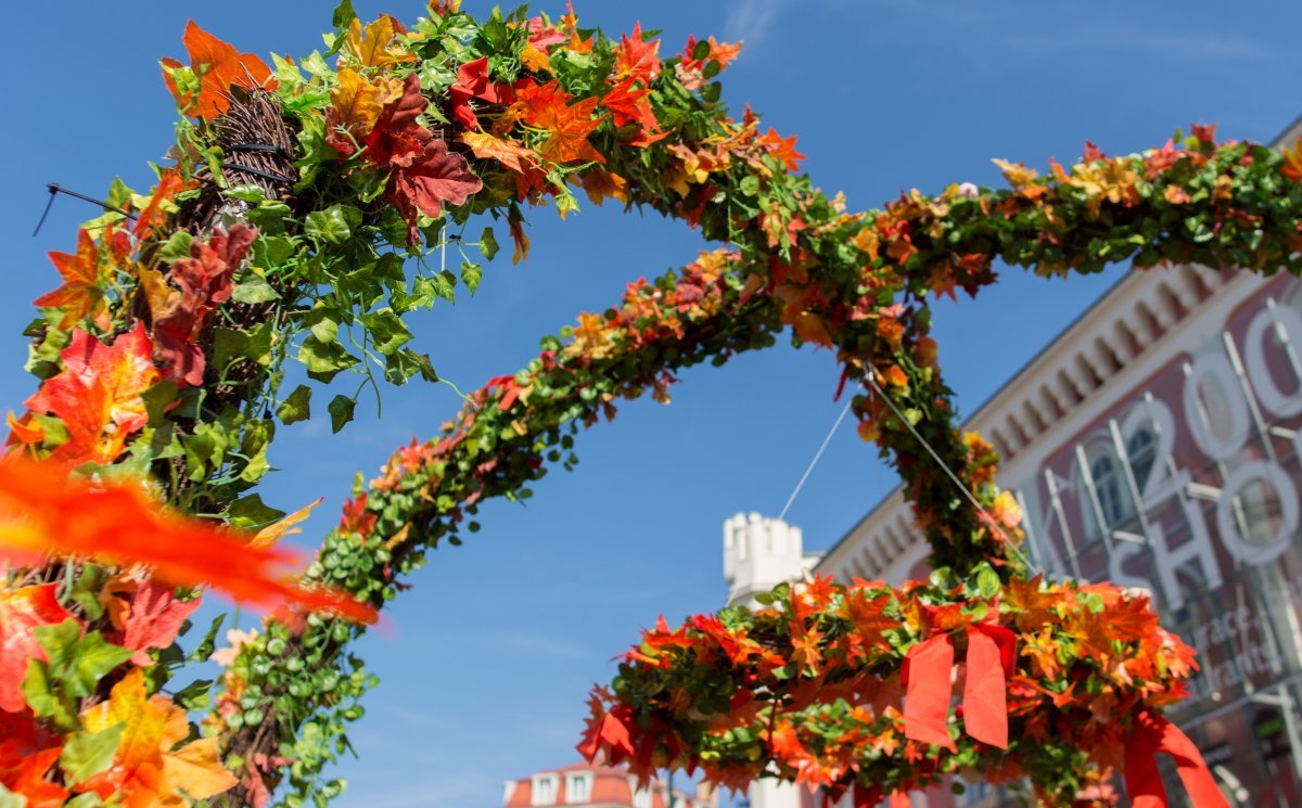 Autumn market, Náměstí Republiky