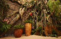 Imitation - jungle, showroom 