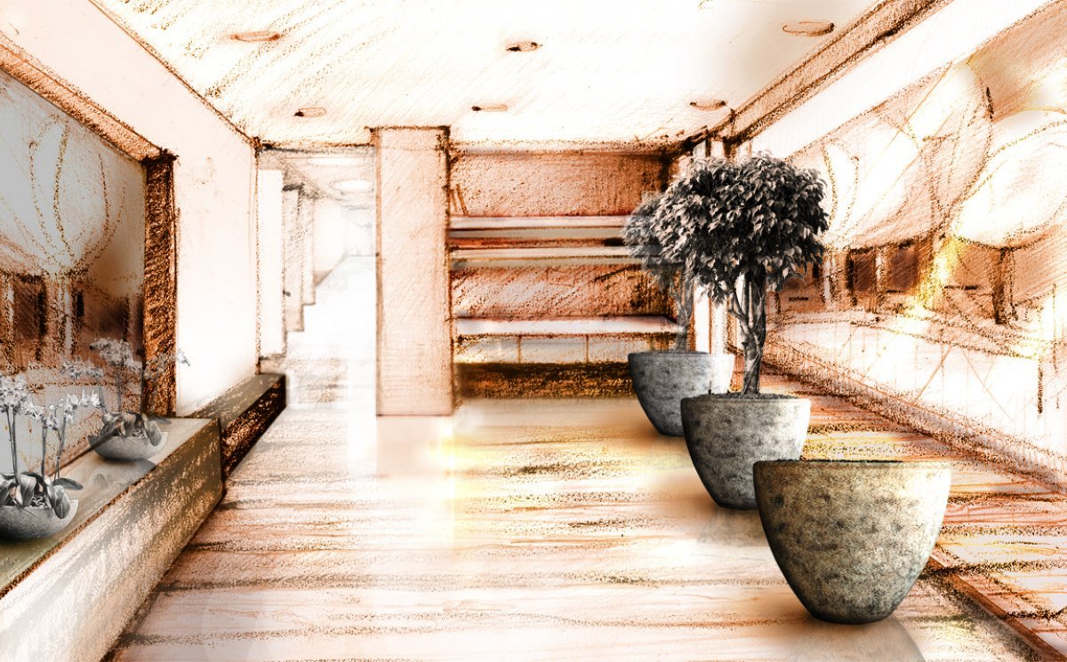 Design & graphic proposal