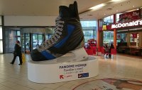 Ice hockey skate - 350*290*160 cm