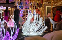 Swan (LED, metal, feather) - 150*150 cm