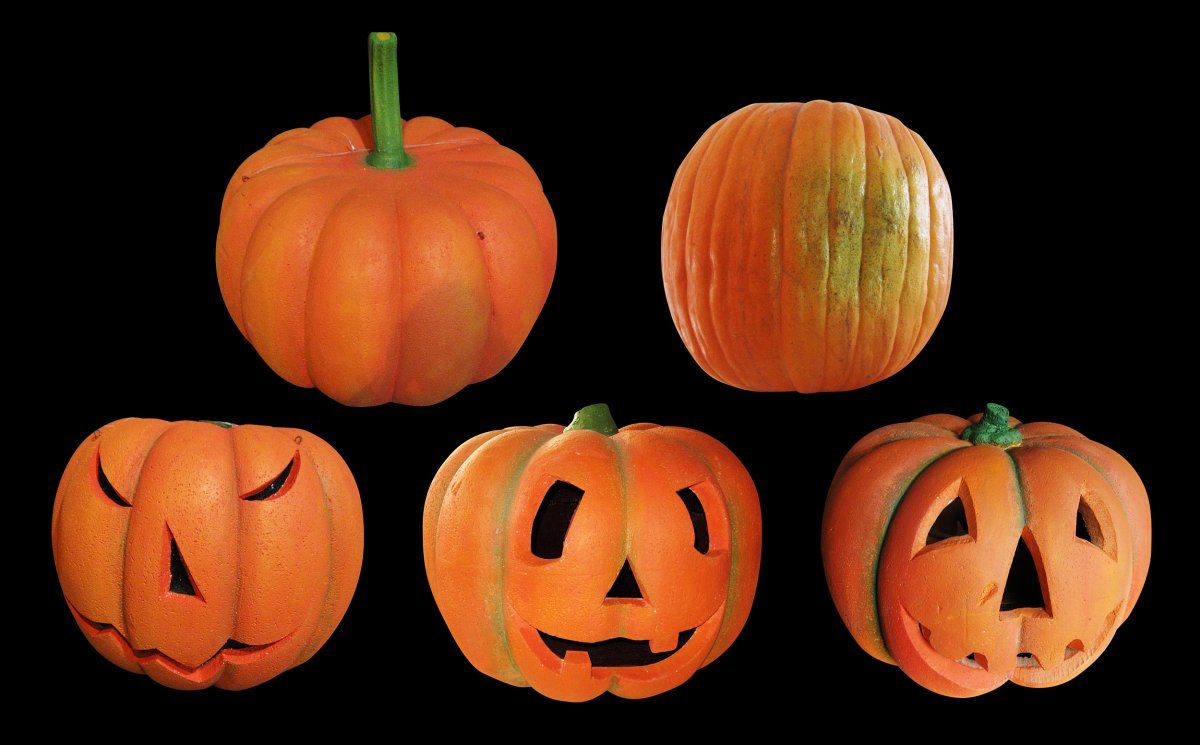 Pumpkins - different - ø 40 - 120 cm
